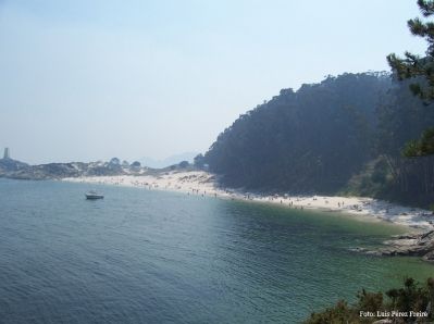 cies 1