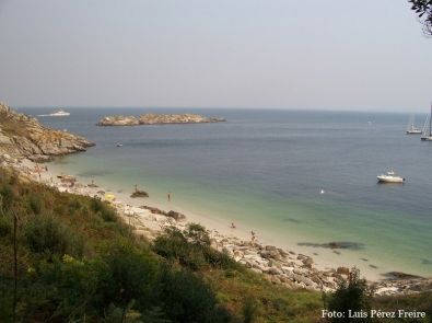 cies 4