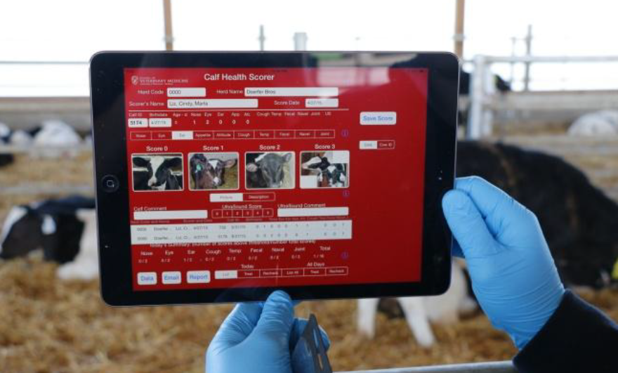 Proyecto CattleCare - Smart Farming Sector Agroalimentario Proyecto CattleCare - Smart Farming Sector Agroalimentario